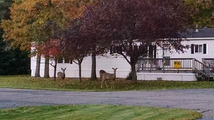 Chatham Park Picture 4