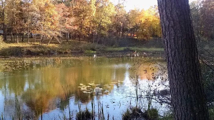 Chatham Park Picture 5