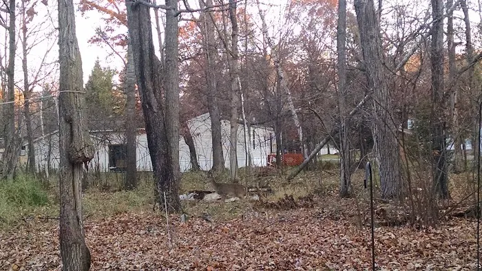 Chatham Park Picture 9