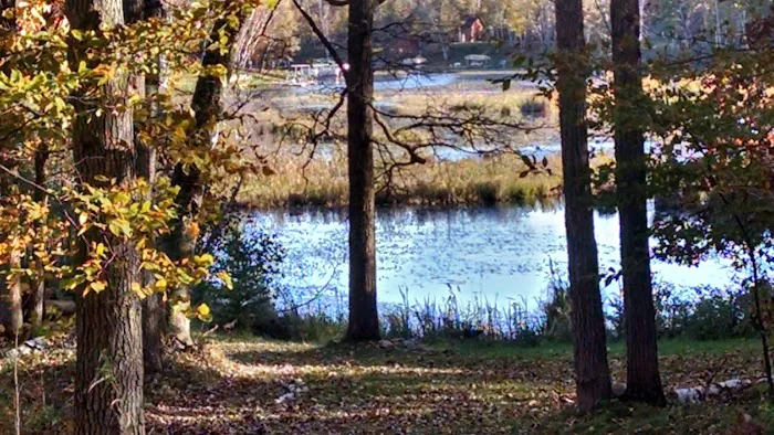 Chatham Park Picture 10