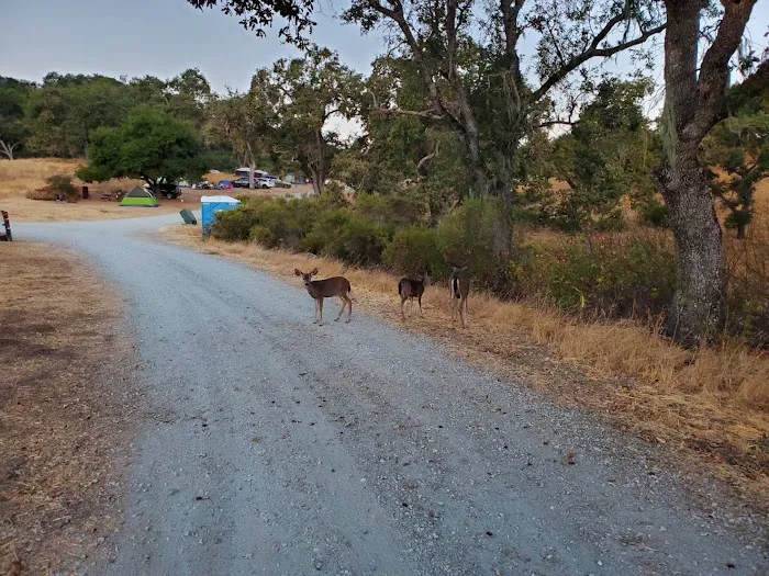 Snell Campground Picture 2