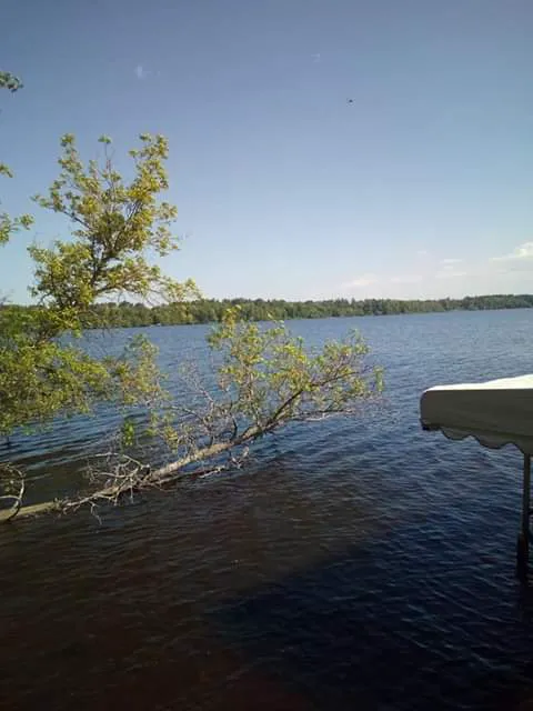 Little Pine RV Park Picture 1