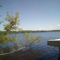 Little Pine RV Park ico