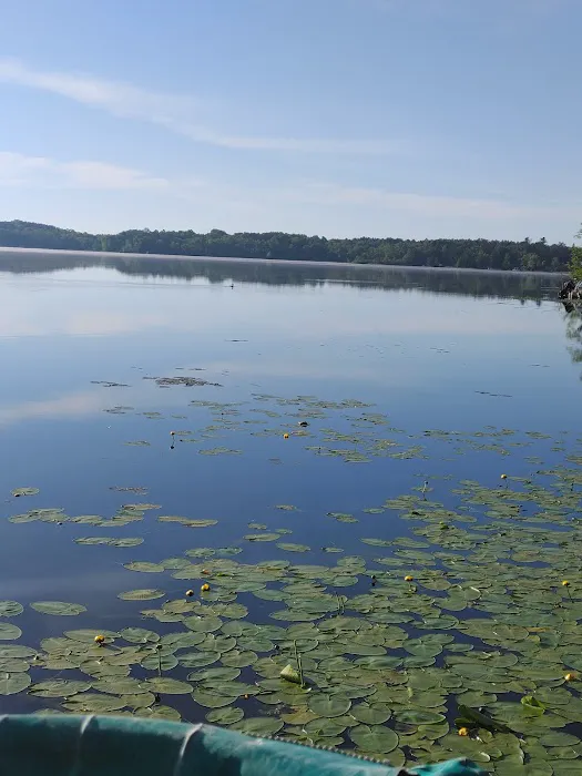 Little Pine RV Park Picture 3