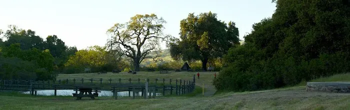 Woodland Youth Camp Picture 2