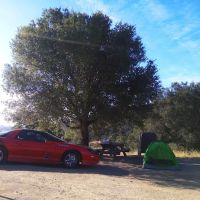 Woodland Youth Camp ico