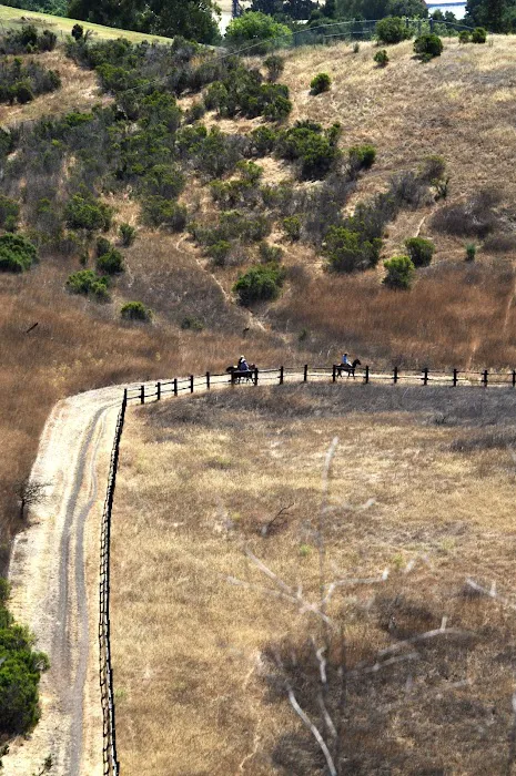 Youth Area Group Campsite Picture 3