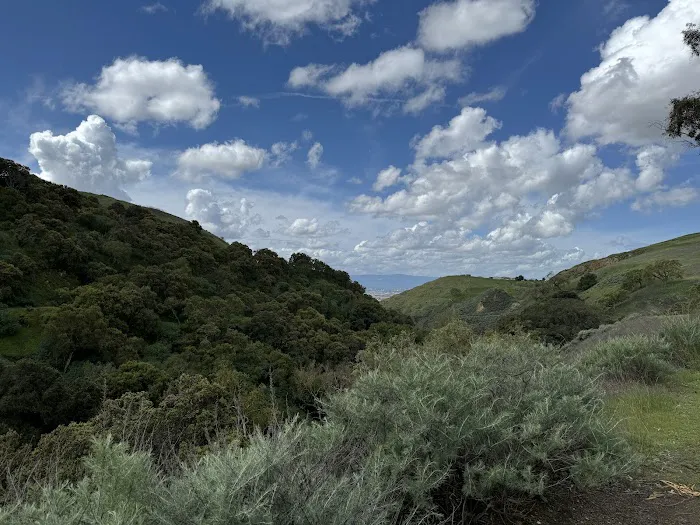 Youth Area Group Campsite Picture 2