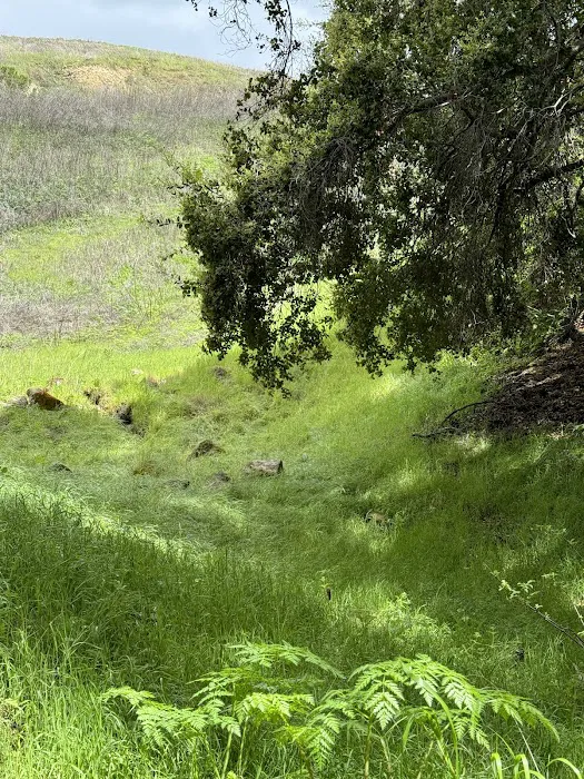 Youth Area Group Campsite Picture 4