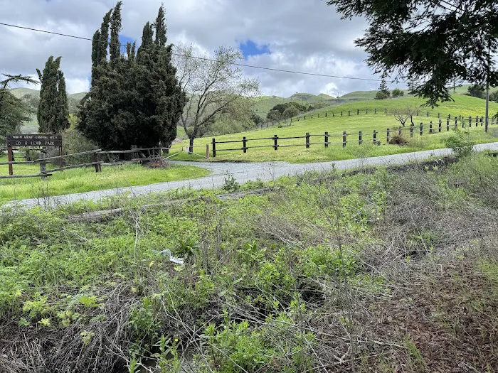 Youth Area Group Campsite Picture 5