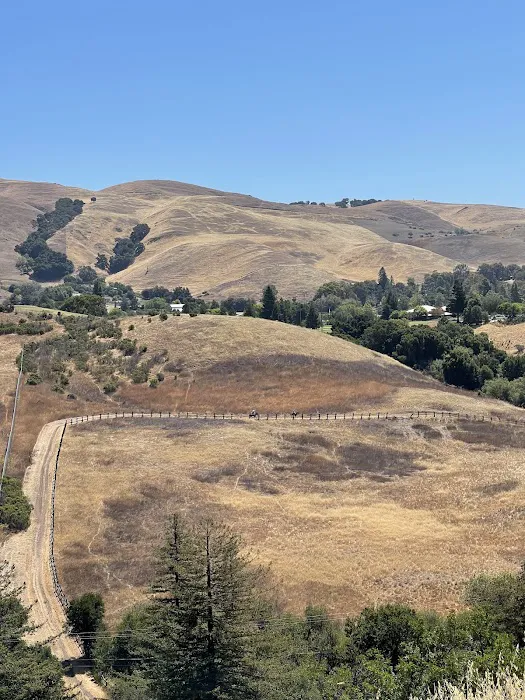 Youth Area Group Campsite Picture 9