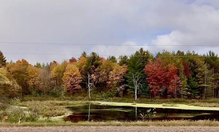 Hawkins Mobile Home Park Picture 7