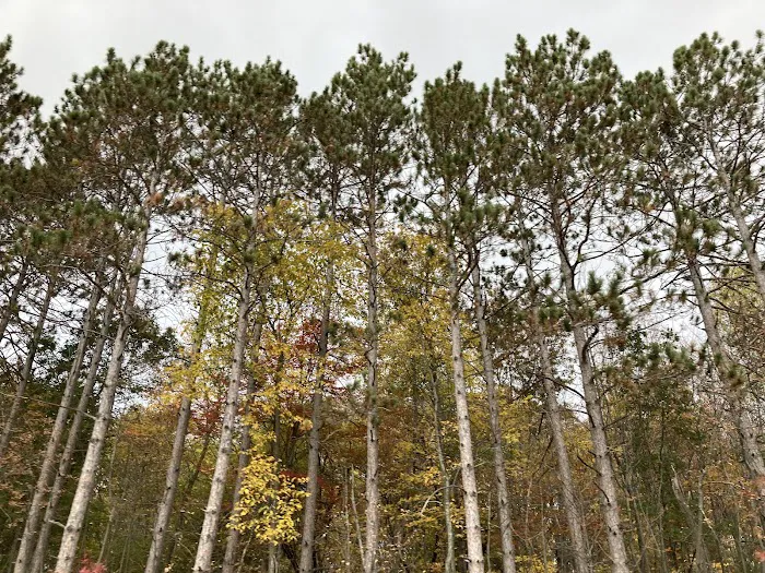 Hawkins Mobile Home Park Picture 8