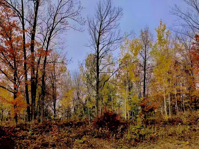 Hawkins Mobile Home Park Picture 9