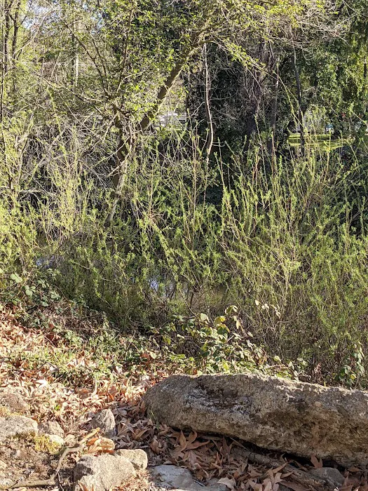 Thousand Trails Morgan Hill RV Resort Picture 7