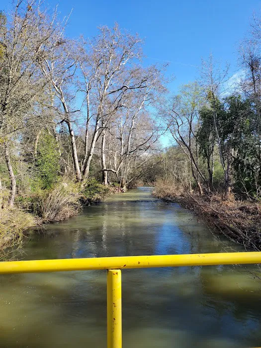 Thousand Trails Morgan Hill RV Resort Picture 6