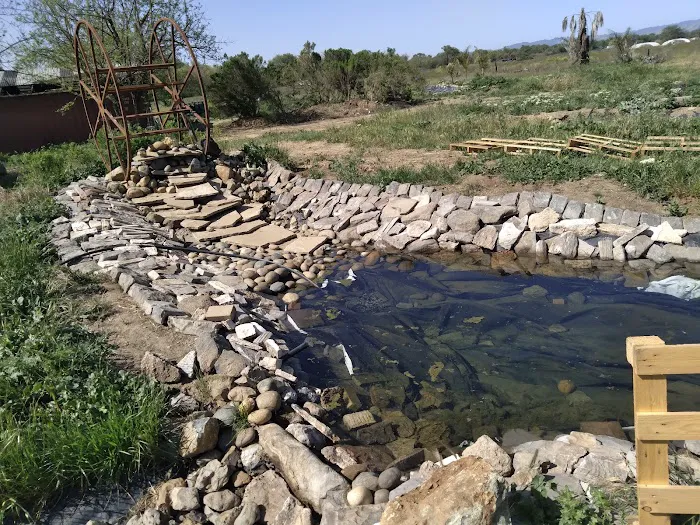 Pacheco Creek Gardens Picture 2