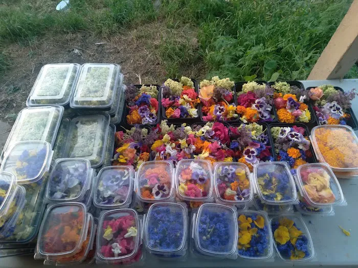 Pacheco Creek Gardens Picture 1