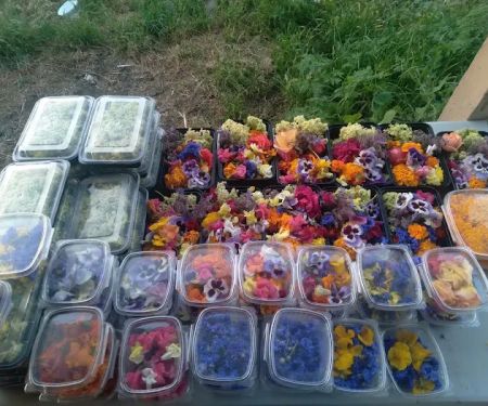 Pacheco Creek Gardens