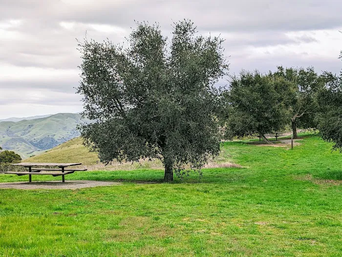 Eagle Spring Backpack Camp Picture 4