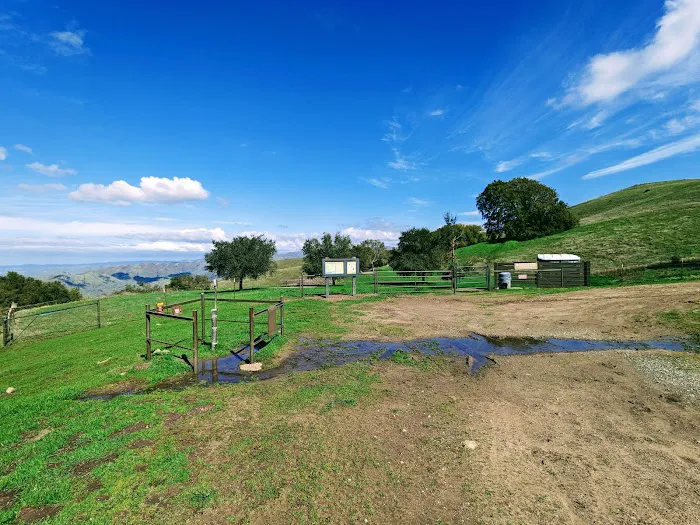 Eagle Spring Backpack Camp Picture 3