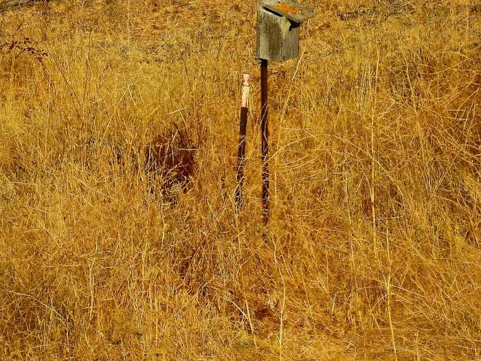 Eagle Spring Backpack Camp Picture 6