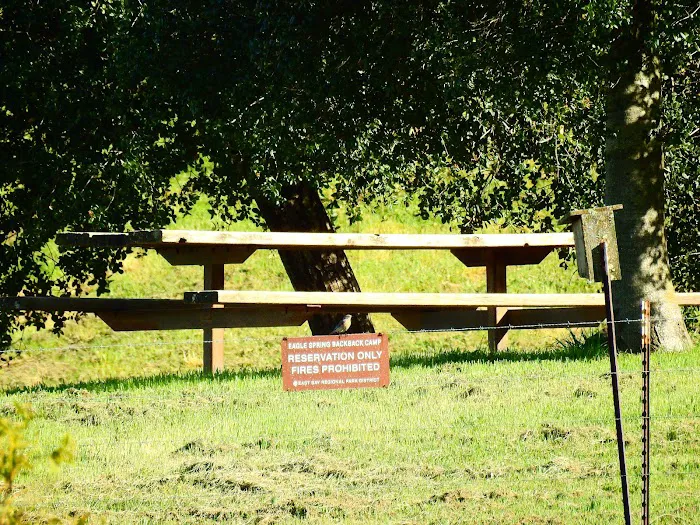 Eagle Spring Backpack Camp Picture 9