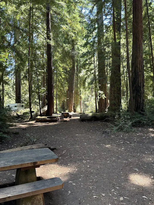 Sequoia Flat Campground Picture 2