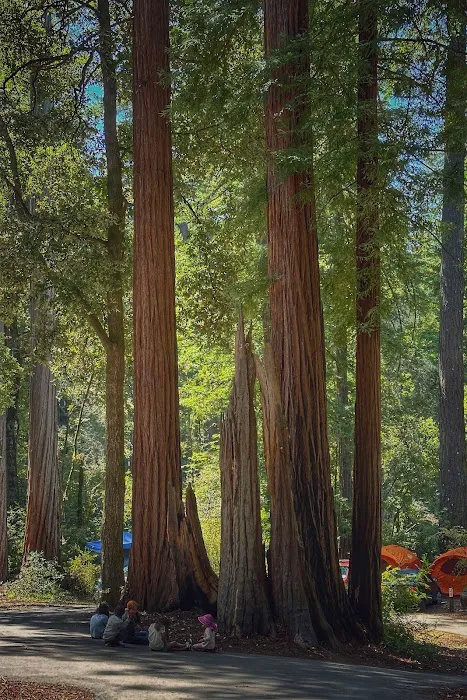 Sequoia Flat Campground Picture 7