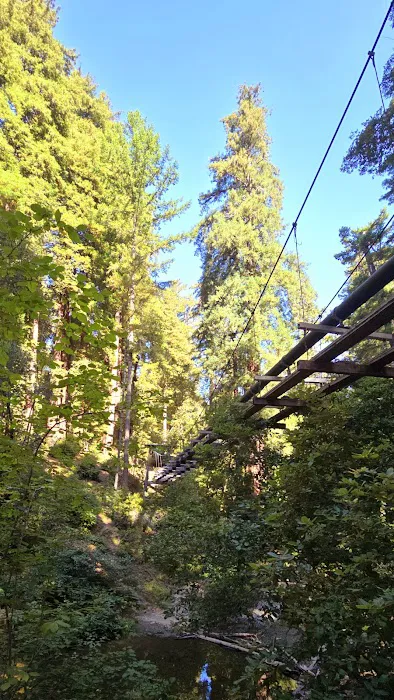 Doug Fir Group Site Picture 1