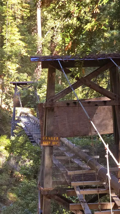 Doug Fir Group Site Picture 7