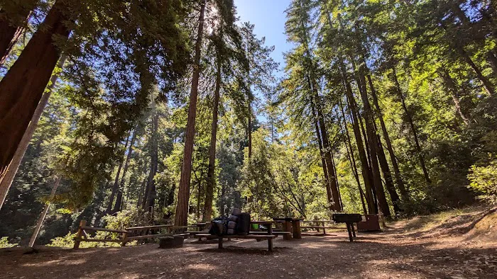Doug Fir Group Site Picture 9
