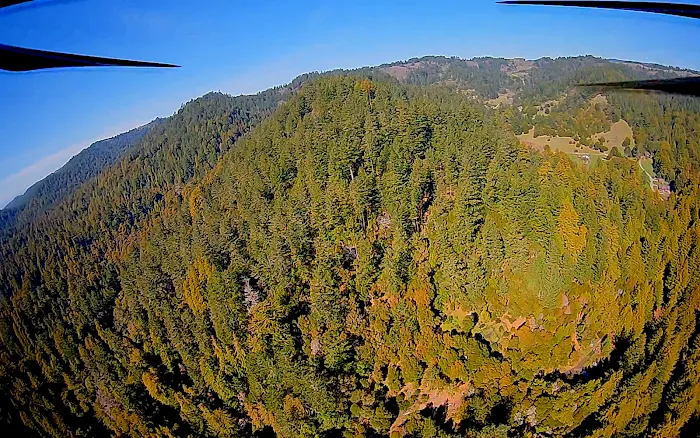 McCormick Creek Camp & Gardens LLC Picture 3