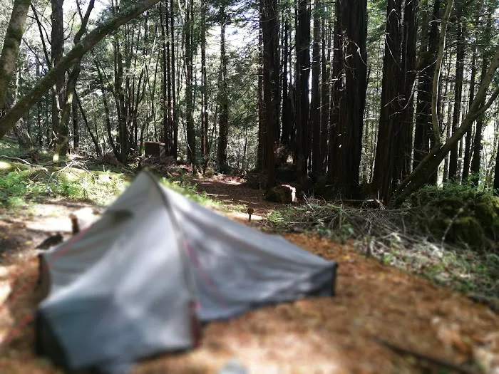 McCormick Creek Camp & Gardens LLC Picture 5