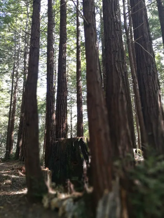 McCormick Creek Camp & Gardens LLC Picture 2