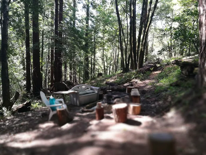 McCormick Creek Camp & Gardens LLC Picture 1