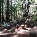 McCormick Creek Camp & Gardens LLC