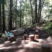 McCormick Creek Camp & Gardens LLC ico