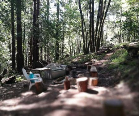 McCormick Creek Camp & Gardens LLC