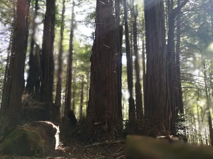 McCormick Creek Camp & Gardens LLC Picture 9