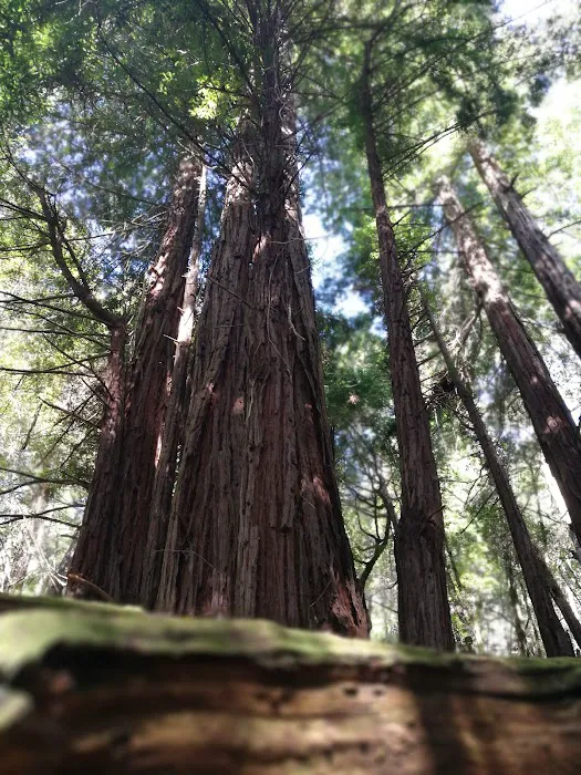 McCormick Creek Camp & Gardens LLC Picture 10