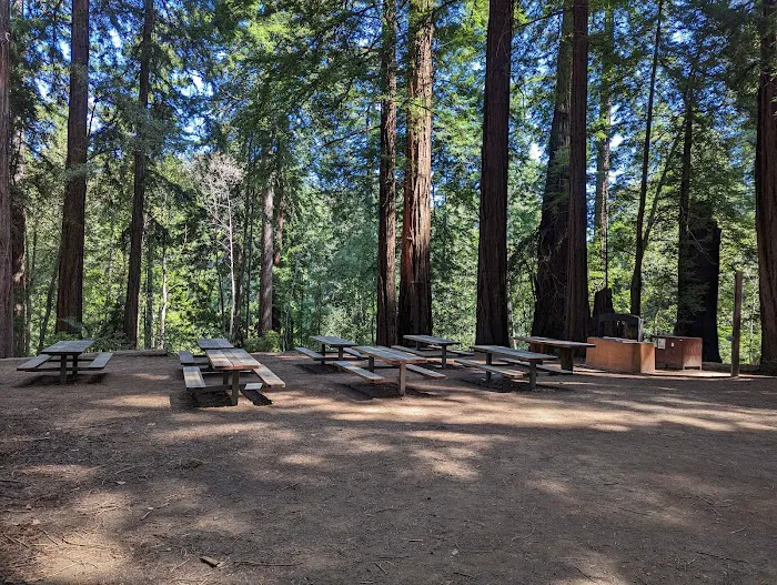 Wurr Flat #1 | Memorial Park Picture 8