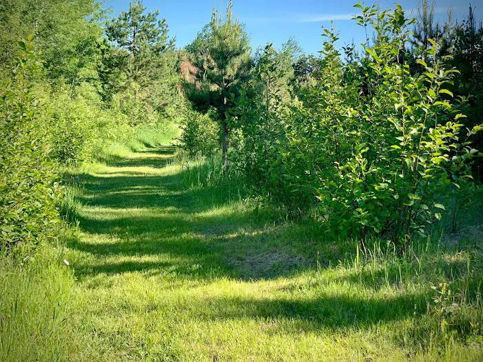 Red Pine Campground Picture 2