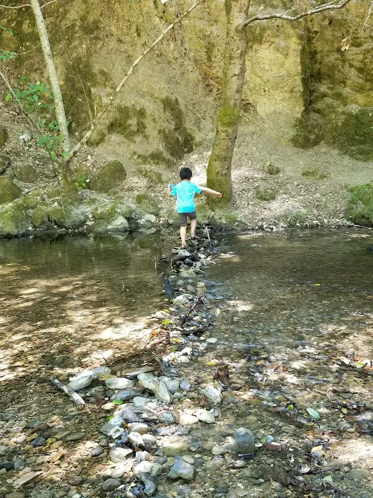 Wurr Flat #2 | Memorial Park Picture 4
