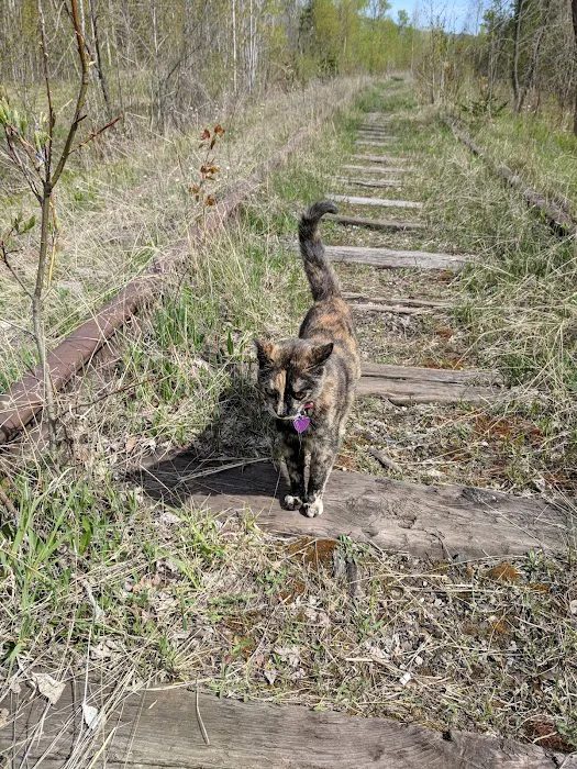 Pleasant View Mobile Home Park Picture 2