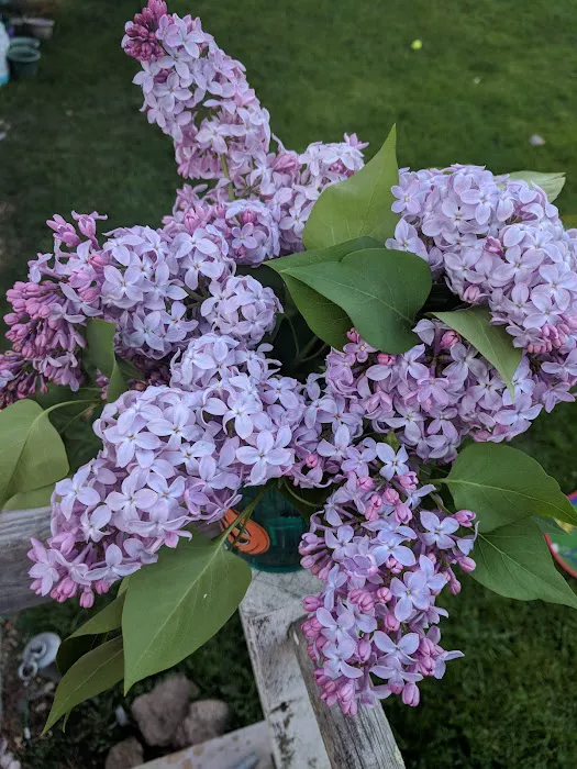 Pleasant View Mobile Home Park Picture 3