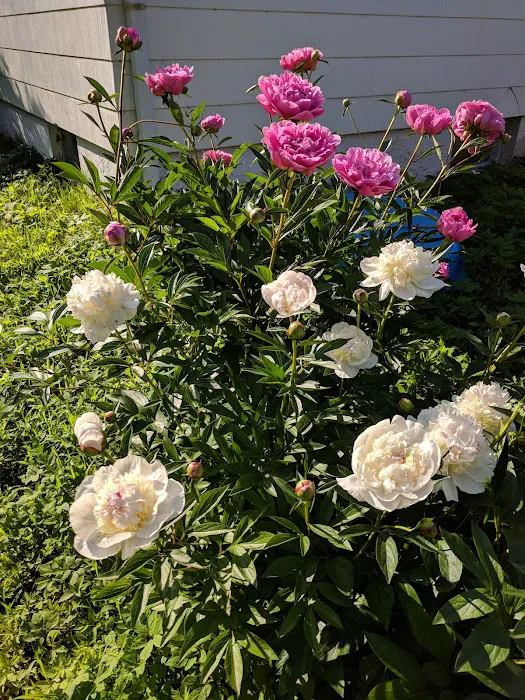 Pleasant View Mobile Home Park Picture 4