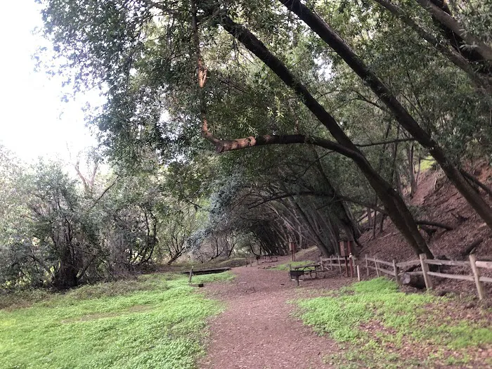 Towle Campground Picture 6