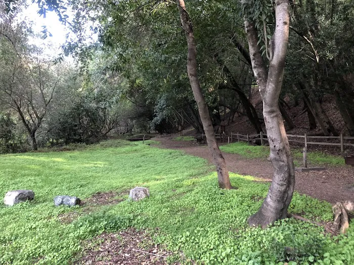 Towle Campground Picture 5