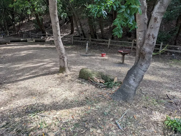 Towle Campground Picture 7